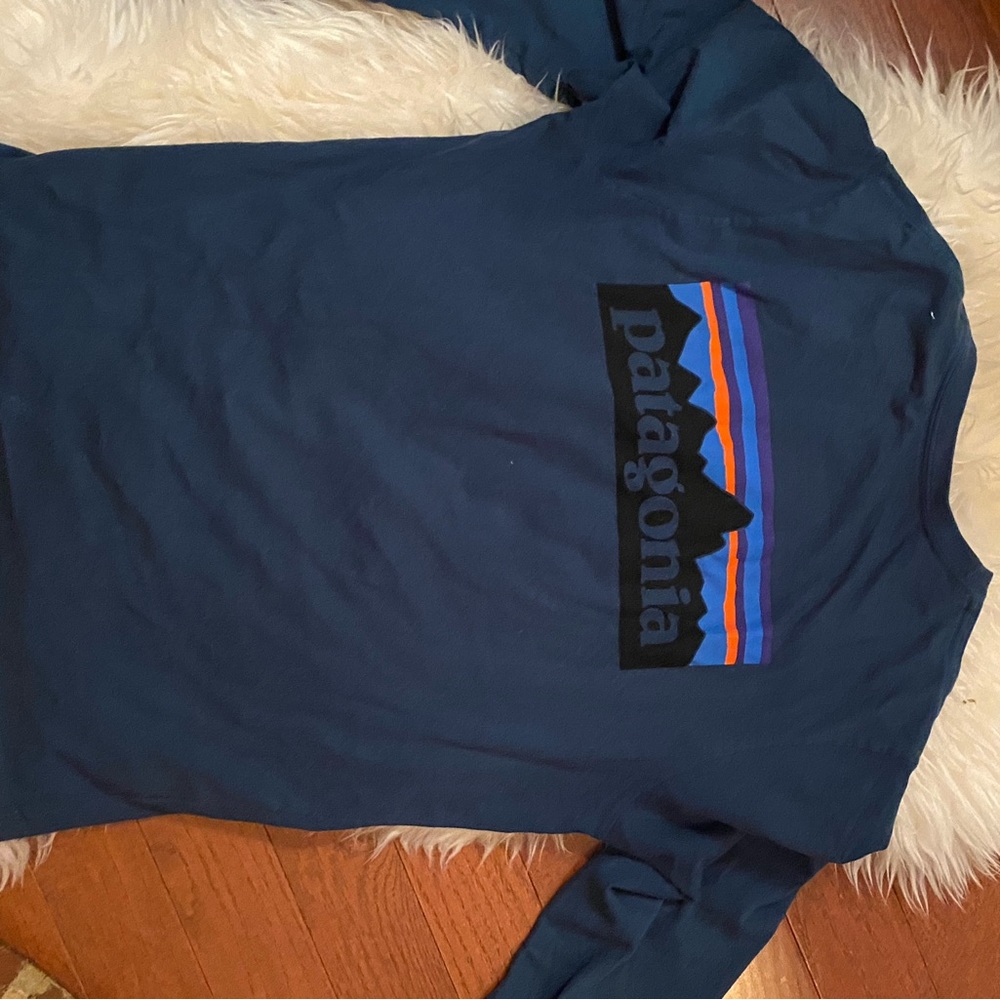 Patagonia long sleeve tee